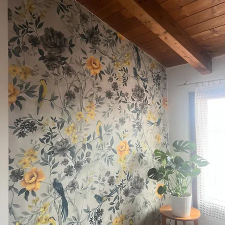 La Rondinella * דוצה