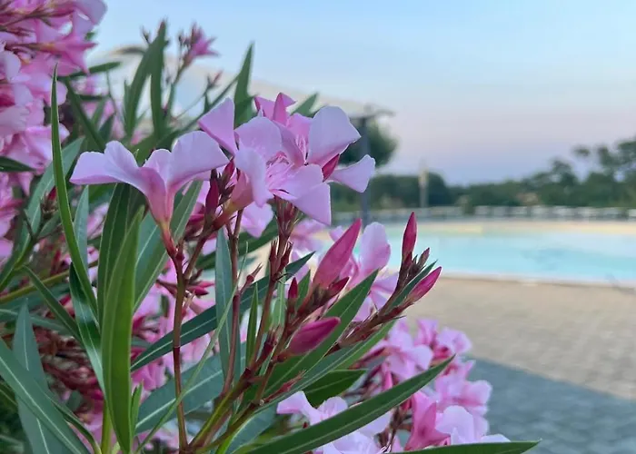 La Rondinella مزرعة للإقامة دوتسا