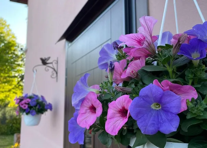 La Rondinella Séjour à la ferme