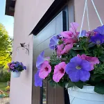 La Rondinella Farmház