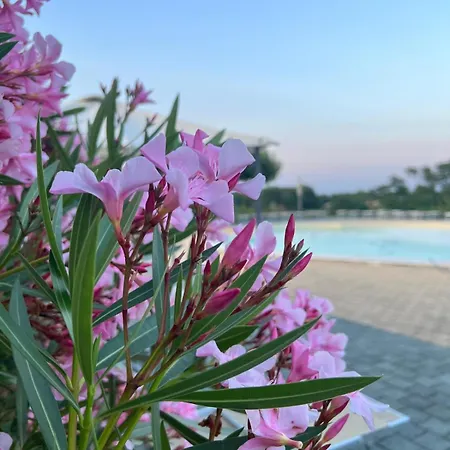 La Rondinella مزرعة للإقامة دوتسا