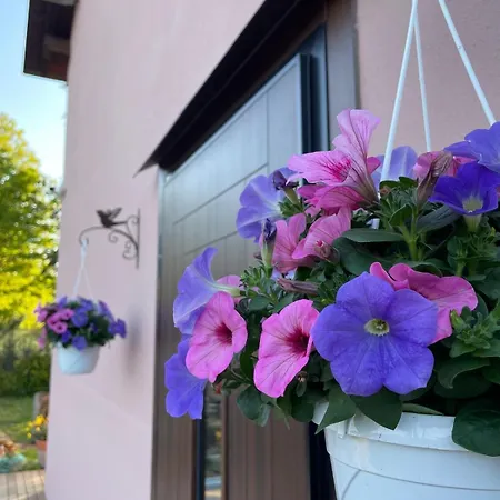 La Rondinella Farm stay