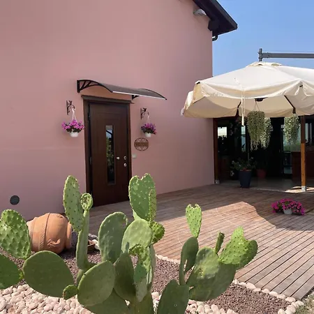 La Rondinella Κατάλυμα σε φάρμα Dozza